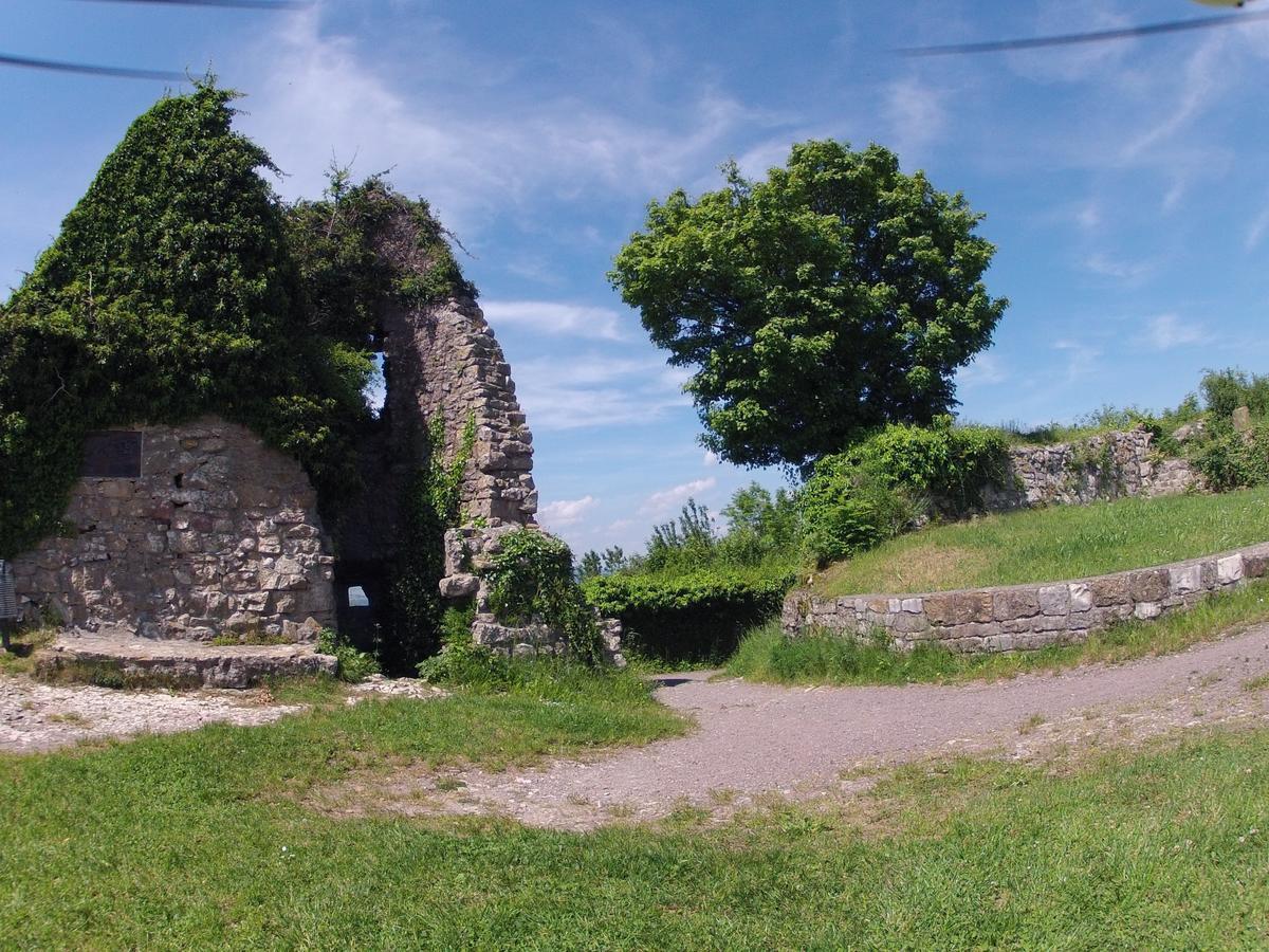 Gasthof Kuessaburg Kussaberg エクステリア 写真